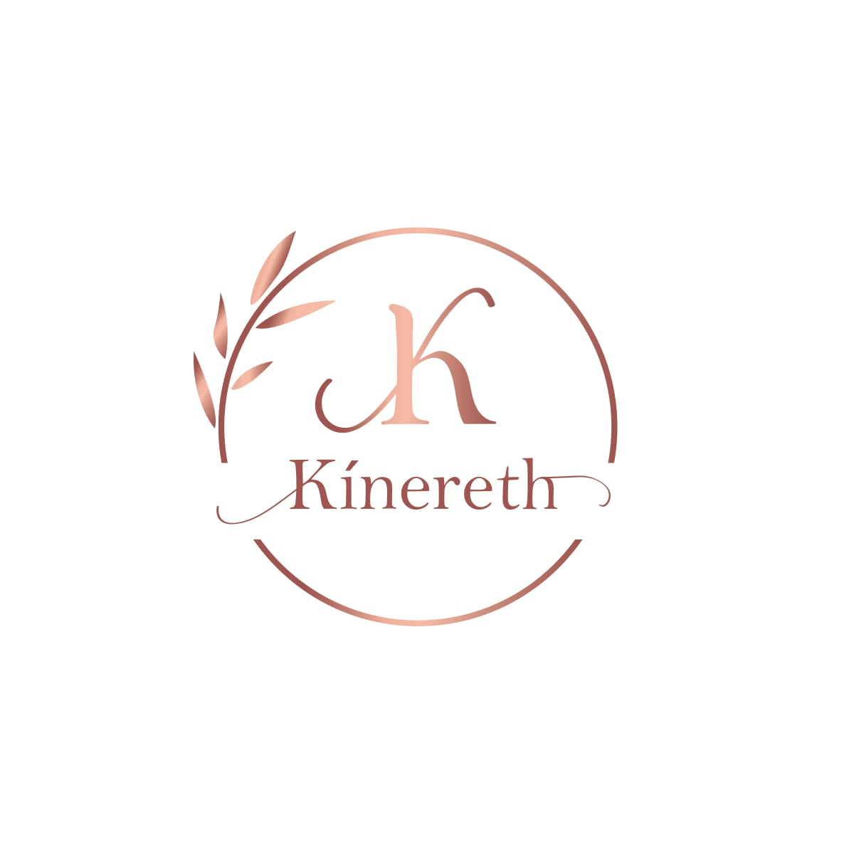 Kinereth Tu Spacio logo